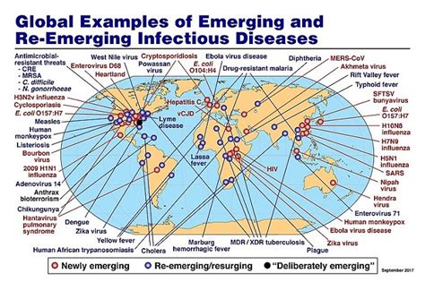 The Global Health Bureau, Office of Infectious Disease, US .